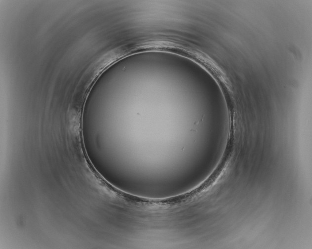 X0000113180945200909041340