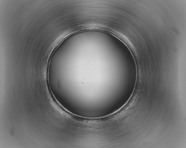 X0000113180946200909041340