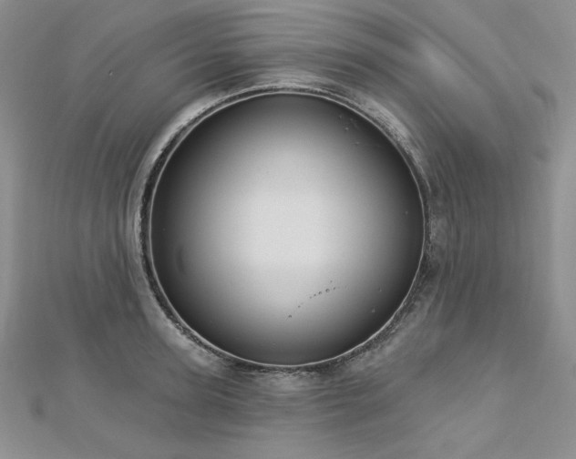 X0000113180947200909041340