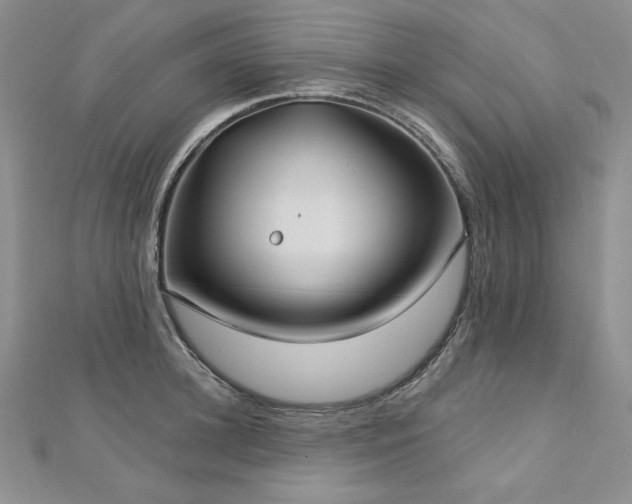 X0000113180948200909041340