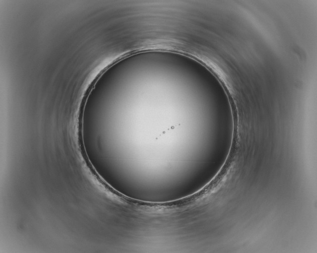 X0000113180949200909041340