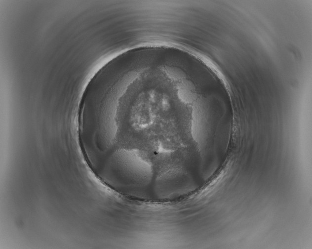 X0000113180951200909041340