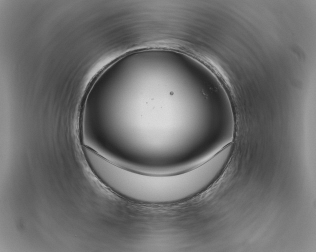 X0000113180952200909041340