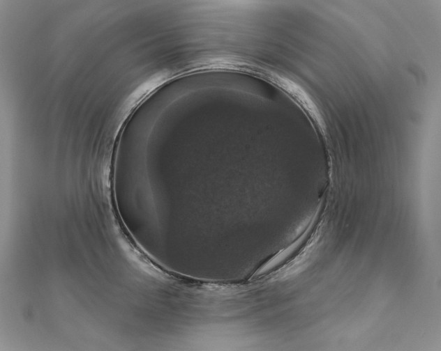 X0000113180954200909041340