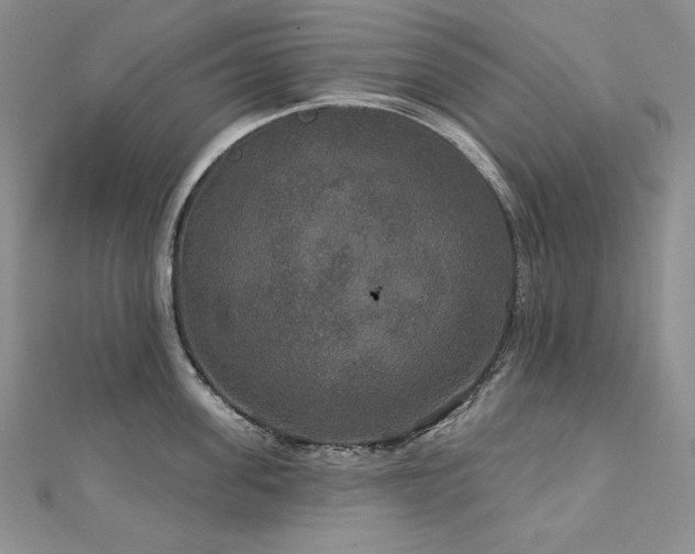 X0000113180955200909041340