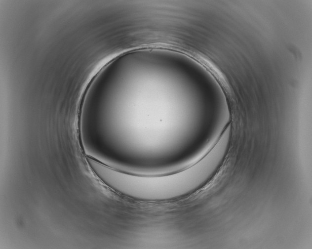 X0000113180956200909041340