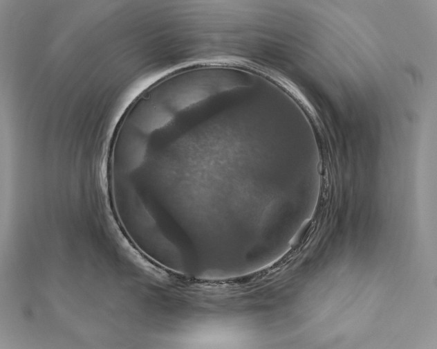 X0000113180959200909041340