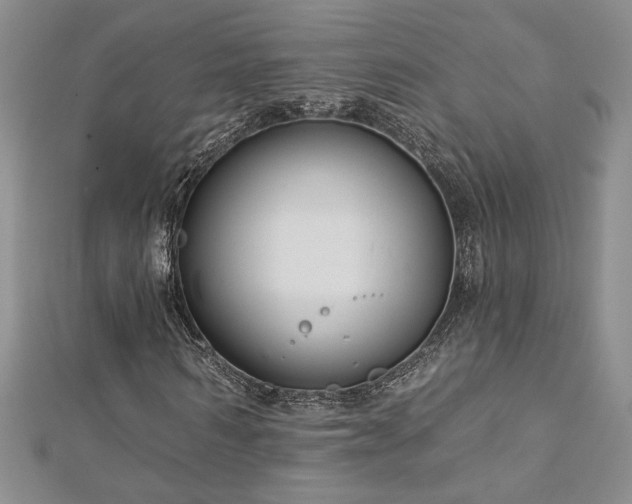 X0000113180962200909041340