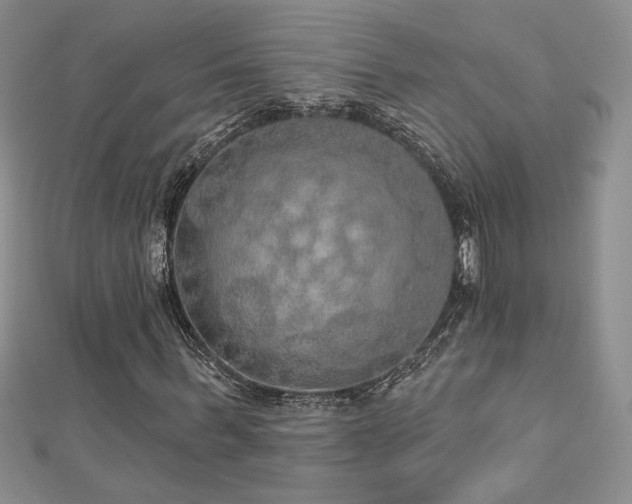 X0000113180963200909041340