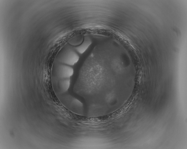 X0000113180966200909041340