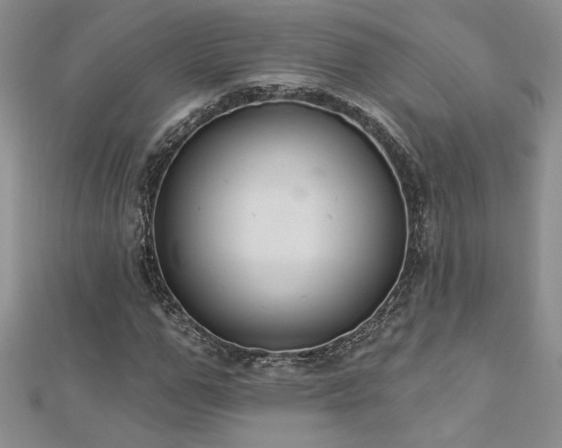 X0000113180967200909041340