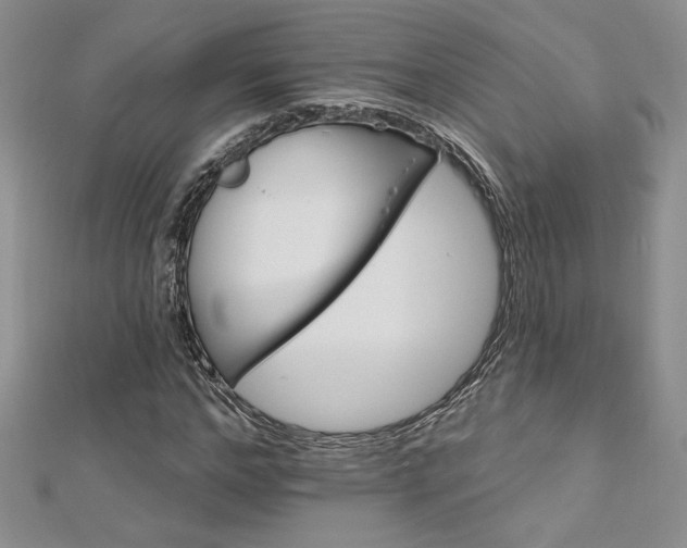 X0000113180968200909041340