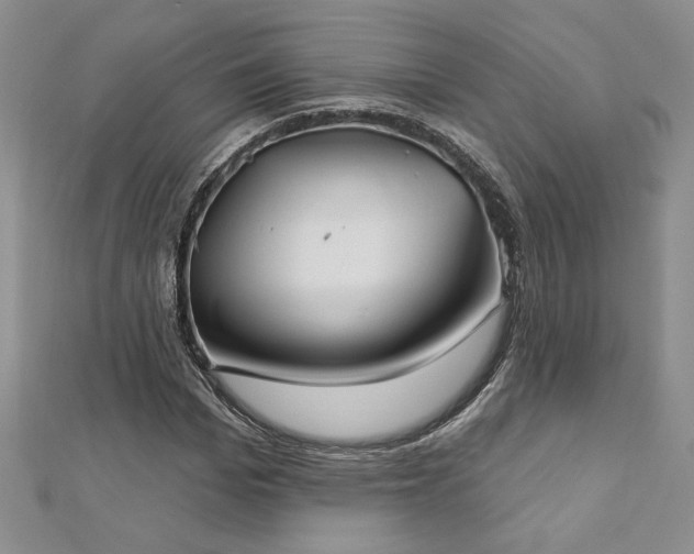 X0000113180969200909041339