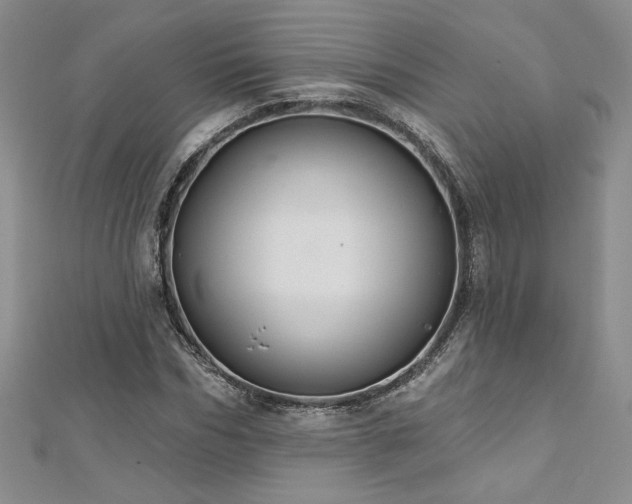 X0000113180970200909041339