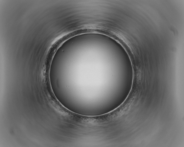 X0000113180971200909041339