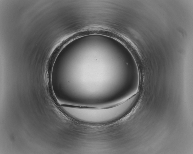 X0000113180973200909041339