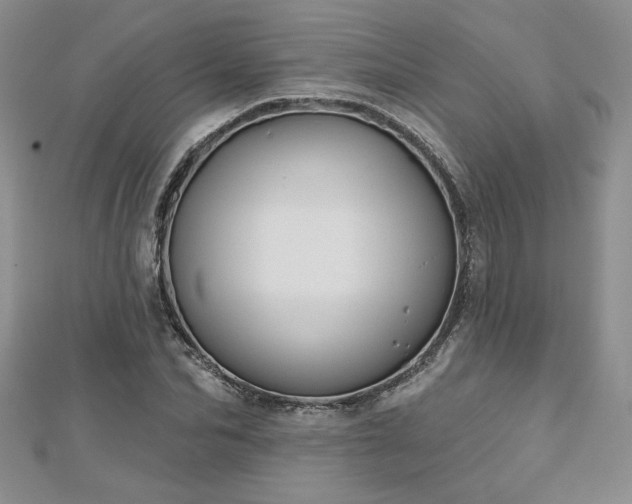 X0000113180974200909041339