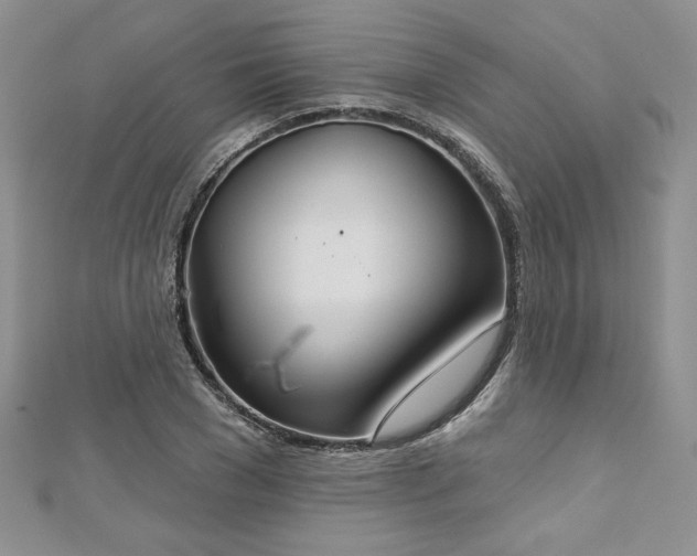 X0000113180977200909041339