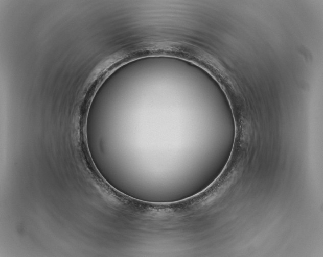 X0000113180978200909041339