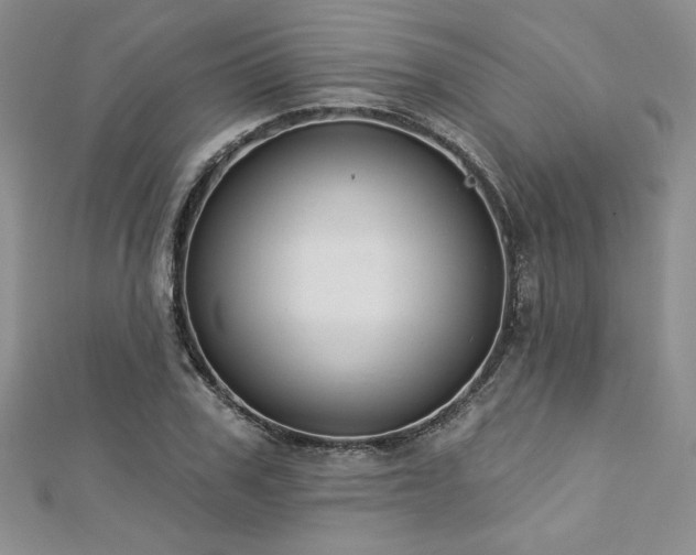 X0000113180979200909041339