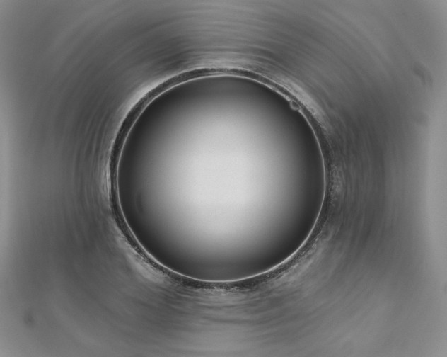 X0000113180980200909041339