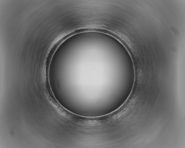 X0000113180982200909041339