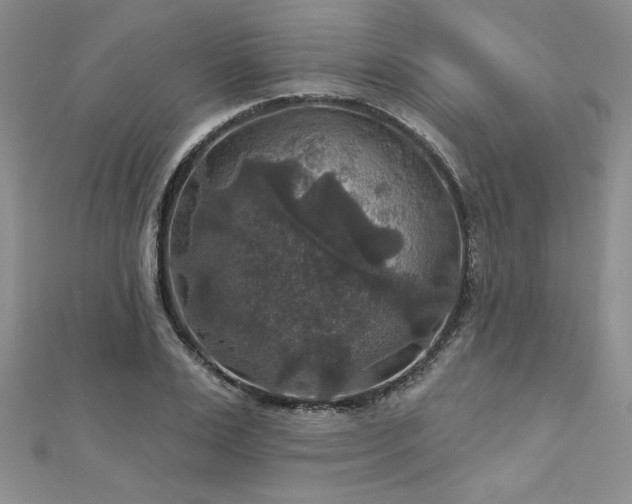 X0000113180983200909041339