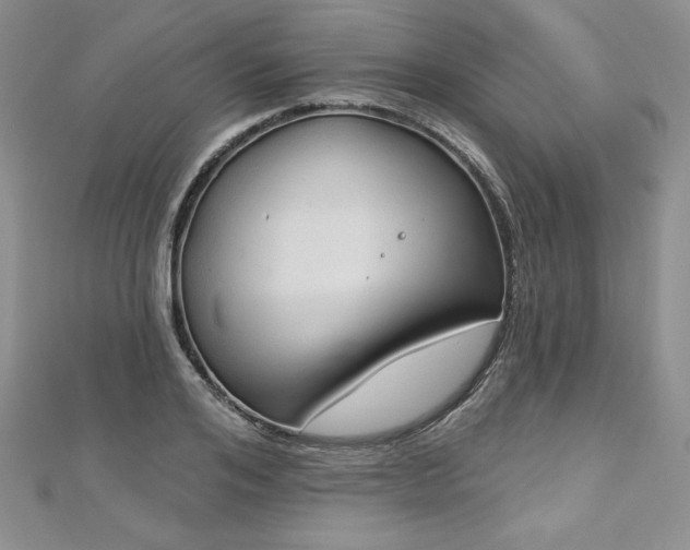 X0000113180984200909041339