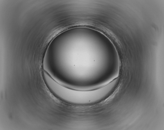 X0000113180985200909041339