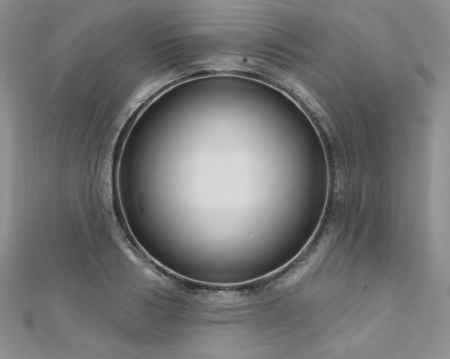 X0000113180986200909041339
