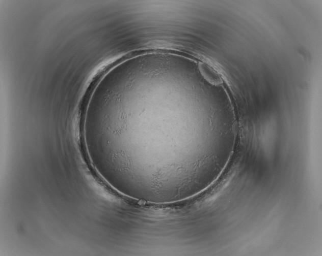X0000113180987200909041339