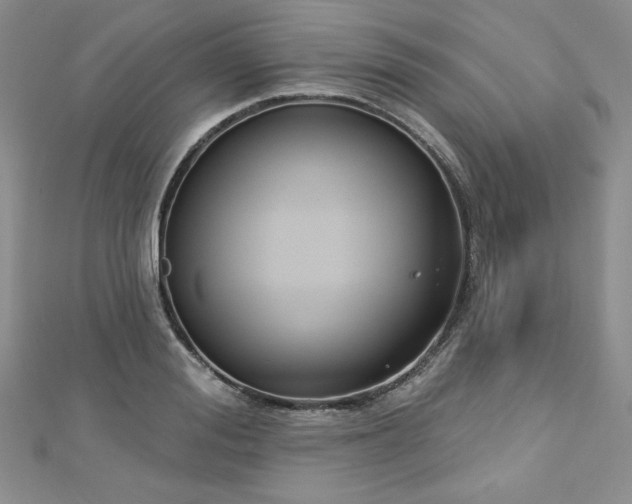 X0000113180988200909041339