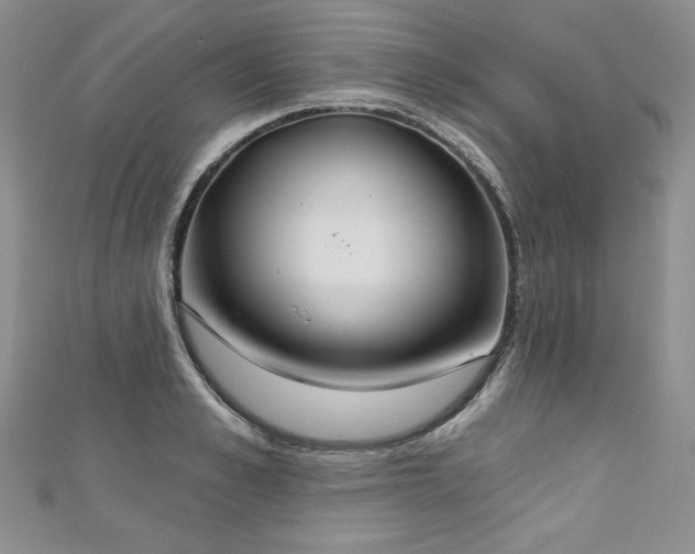 X0000113180989200909041339