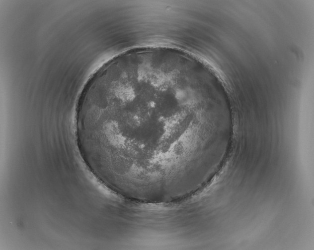 X0000113180990200909041339