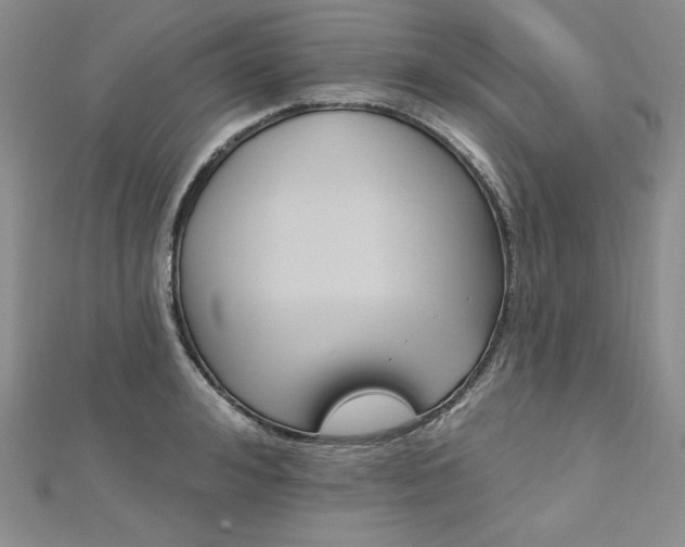 X0000113180992200909041339