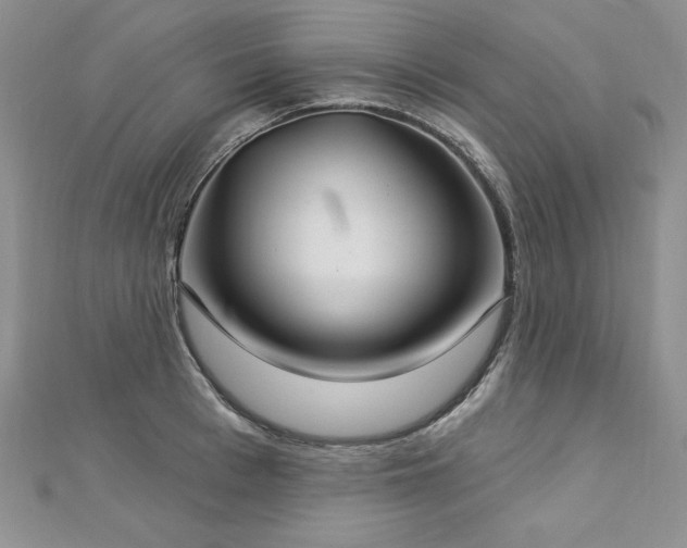 X0000113180993200909041339