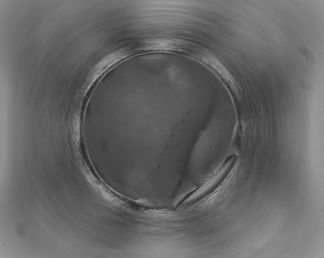 X0000113180994200909041339
