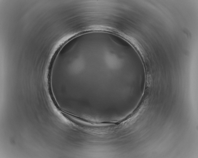 X0000113180995200909041339