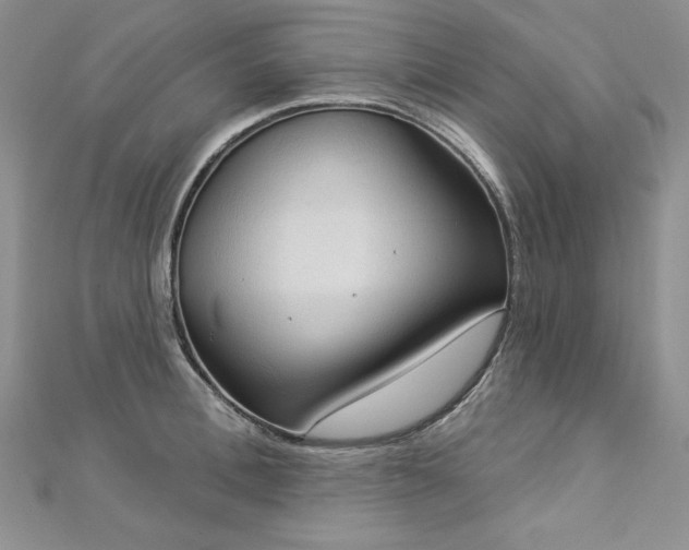 X0000113180996200909041339