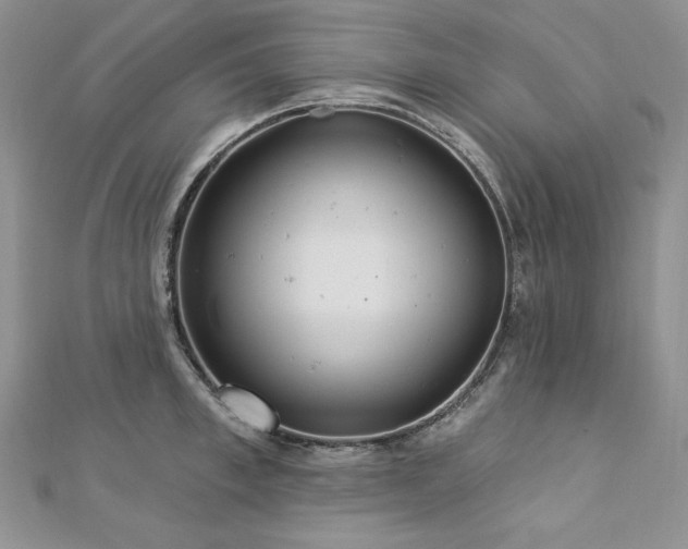 X0000113180997200909041339