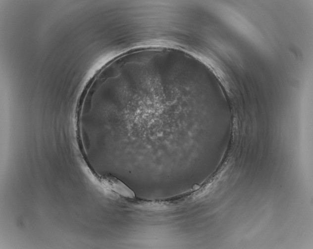X0000113180998200909041339