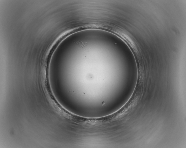 X0000113181000200909041339