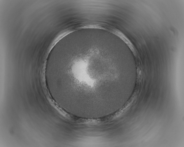 X0000113181002200909041339