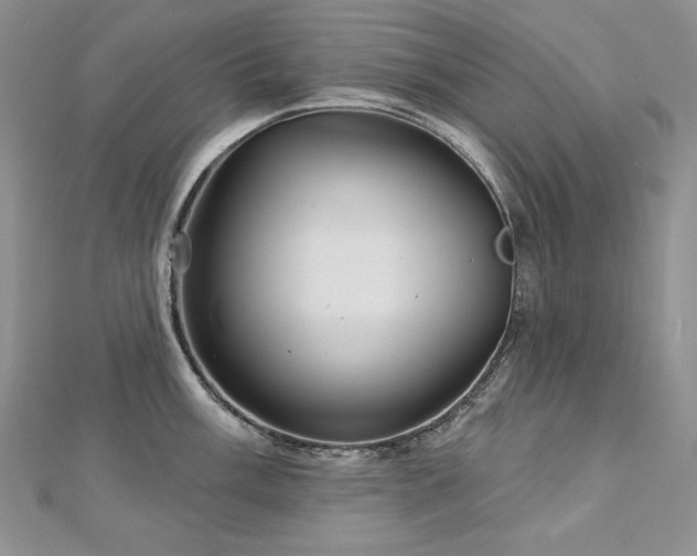 X0000113181003200909041339