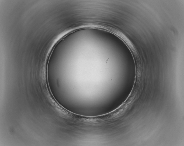 X0000113181004200909041339