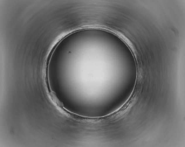 X0000113181005200909041339