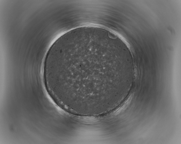 X0000113181007200909041339