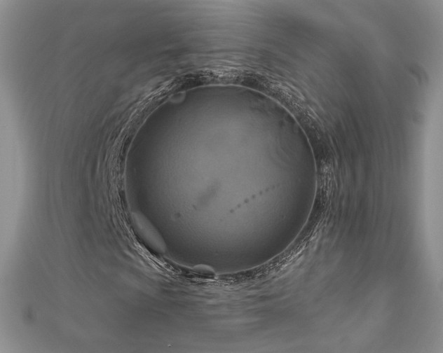 X0000113181009200909041338
