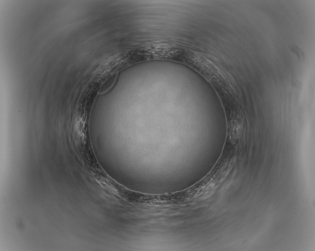 X0000113181010200909041338