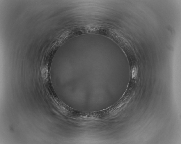 X0000113181011200909041338